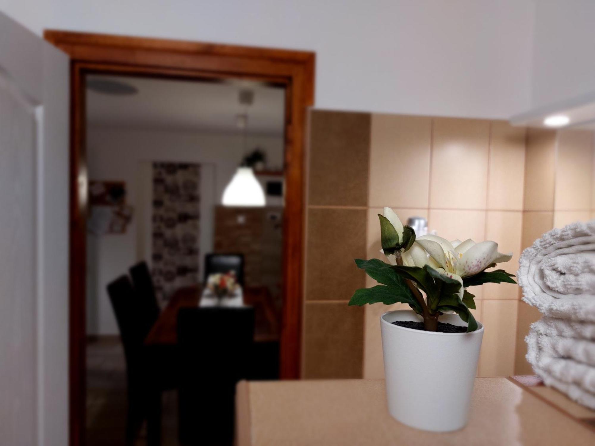 Tulipán Vendégház Sárospatak Extérieur photo